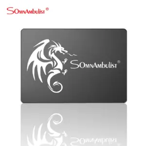 SSD 120GB 240GB 480GB 960GB unità a stato solido SATA3 interna 2.5 128GB 256GB 512GB 1TB 2TB SSD Laptop